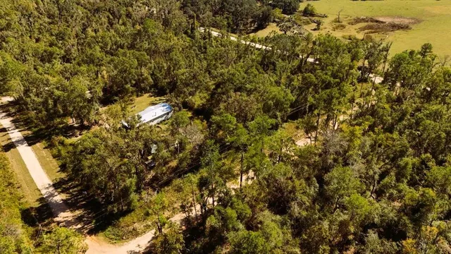 a view of a tree with a tree