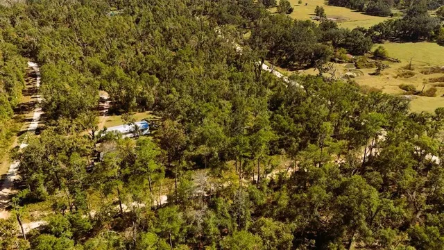 a view of a yard of a house
