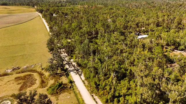 a view of a yard of a building