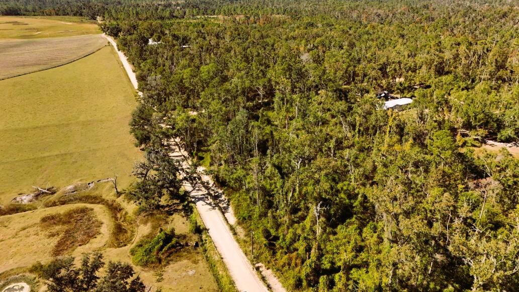 Lot 56 Northwest 29th Loop Jennings, FL 32053 - Photo 5 of 20 a view of a yard of a building