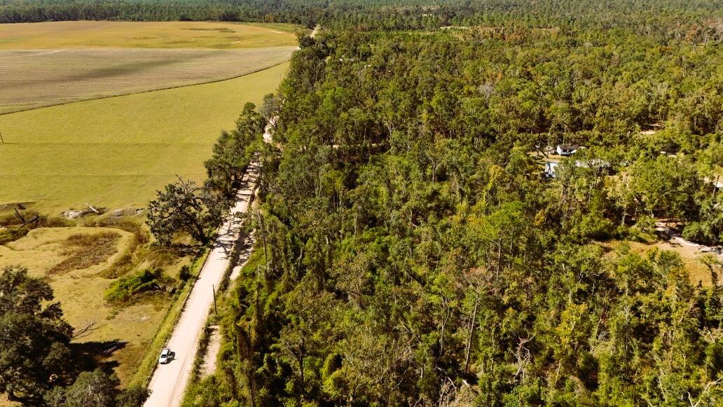 Lot 56 Northwest 29th Loop Jennings, FL 32053 - Photo 6 of 20 a view of a yard