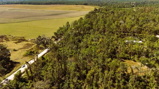 a view of a yard with an outdoor space