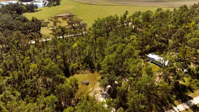 a view of a large yard with lots of bushes
