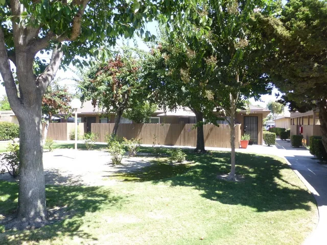 a view of a yard with plants and a large tree