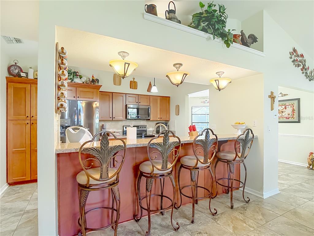 4306 River Birch Drive Spring Hill, FL 34607 - Photo 22 of 84