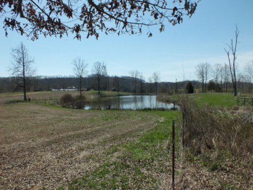 16041 Blue Springs Road Philadelphia, TN 37846 - Photo 8 of 22 Additional Photo