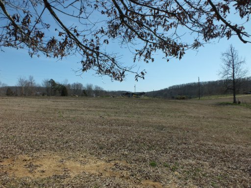 16041 Blue Springs Road Philadelphia, TN 37846 - Photo 9 of 22 Additional Photo
