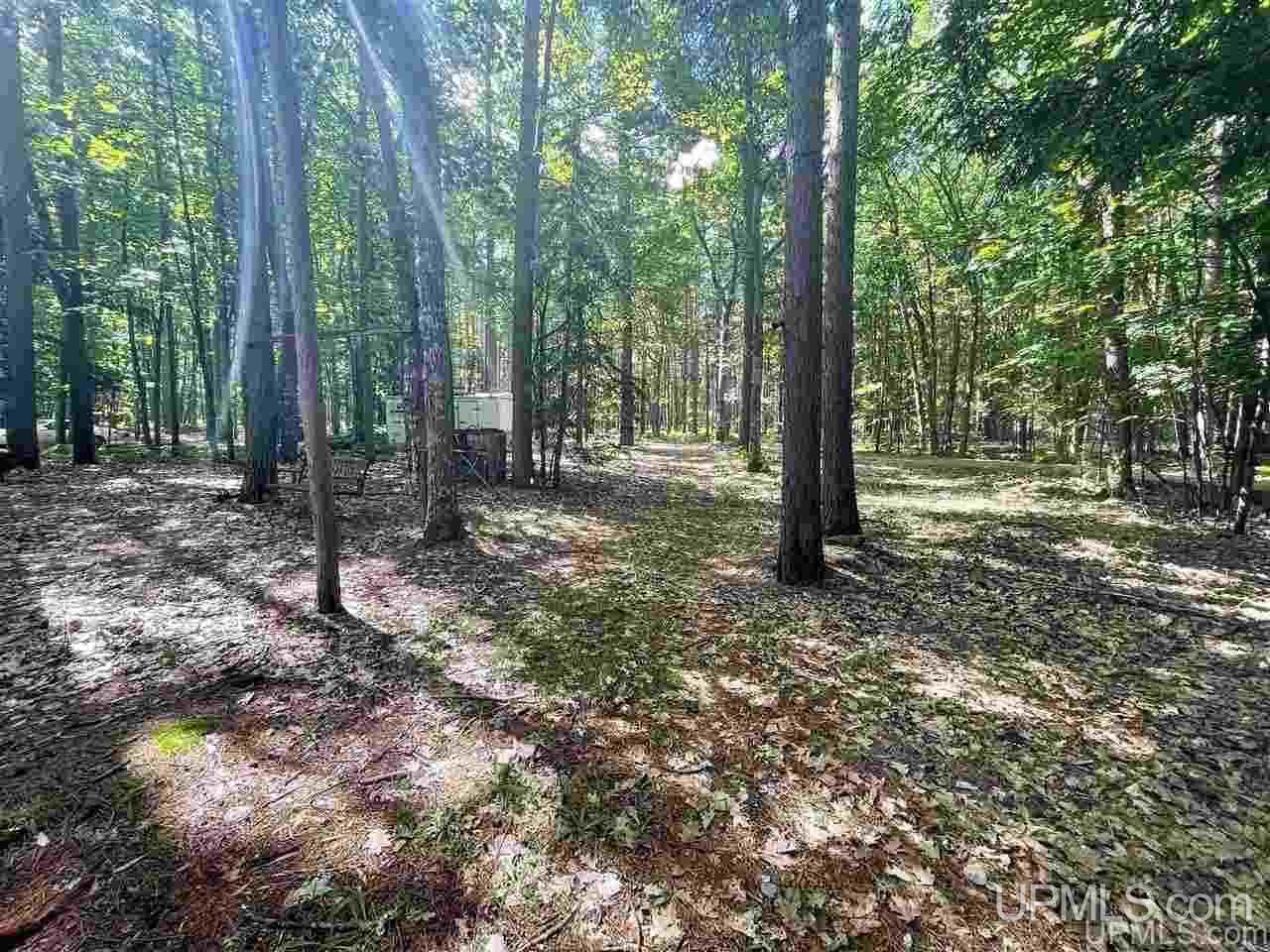 W3158 Co Road Big Bay, MI 49808 - Photo 9 of 16