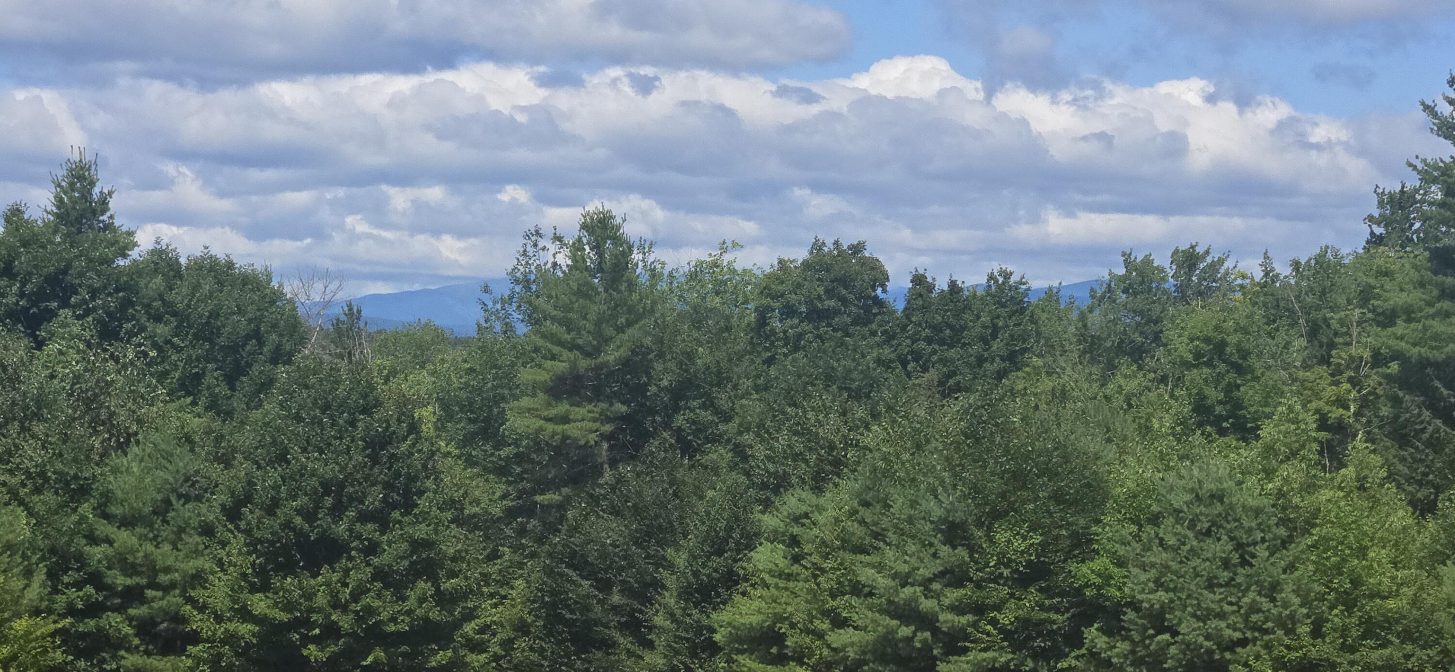 119 Buswell Road Bridgton, ME 04009 - Photo 18 of 58 20250721_105354