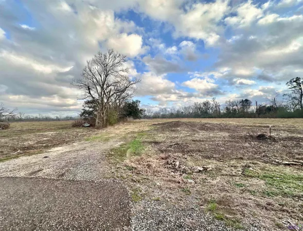 $189,900 | Lot #3 A La Highway, Darrow, LA 70725