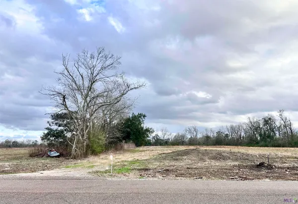 $189,900 | Lot #3 A La Highway, Darrow, LA 70725