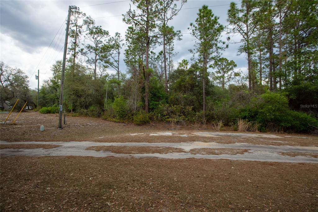 5829 Bryce Street Keystone Heights, FL 32656 - Photo 7 of 9