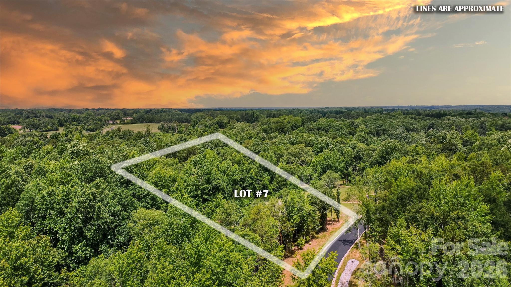 141 Flowing Rock Road Honea Path, SC 29654 - Photo 3 of 10