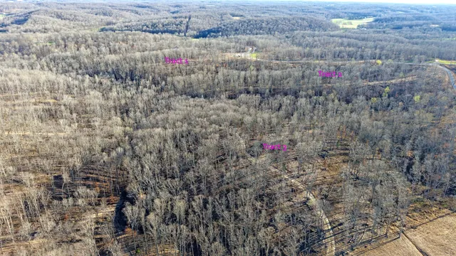 $211,000 | 3 L Oak Rdg Road, Vanleer, TN 37181