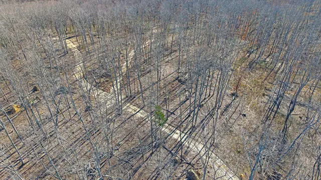 $211,000 | 3 L Oak Rdg Road, Vanleer, TN 37181