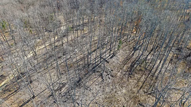 $211,000 | 3 L Oak Rdg Road, Vanleer, TN 37181