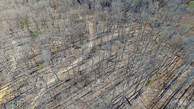 $211,000 | 3 L Oak Rdg Road, Vanleer, TN 37181