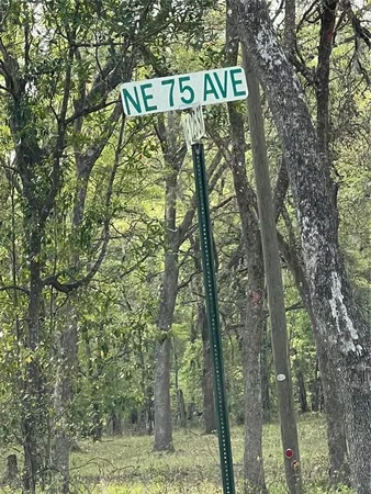 a street sign sitting on a tree