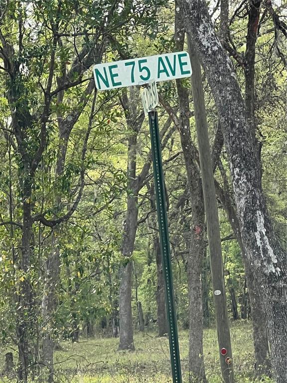 0 Northeast 125th Street Bronson, FL 32621 - Photo 3 of 5 a street sign sitting on a tree