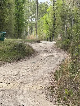 a view of a yard with plants and trees