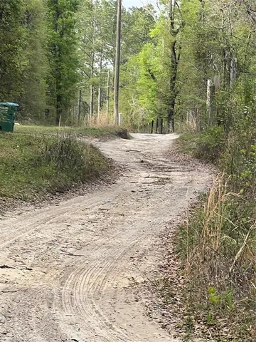 a view of a yard with plants and trees