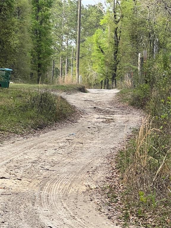 0 Northeast 125th Street Bronson, FL 32621 - Photo 4 of 5 a view of a yard with plants and trees
