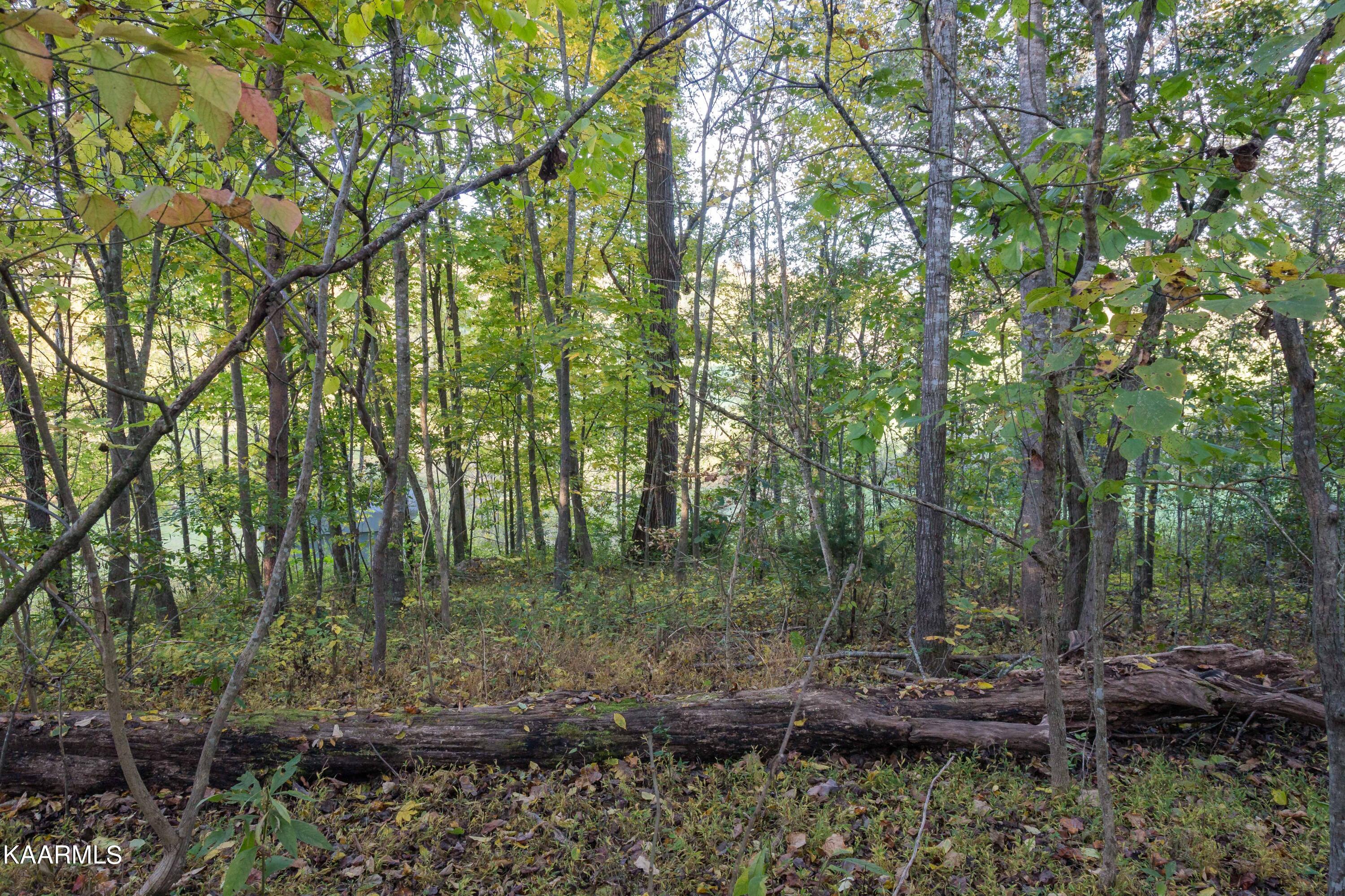 Lot 6 Spring View Drive Sevierville, TN 37862 - Photo 11 of 16 _MG_4625