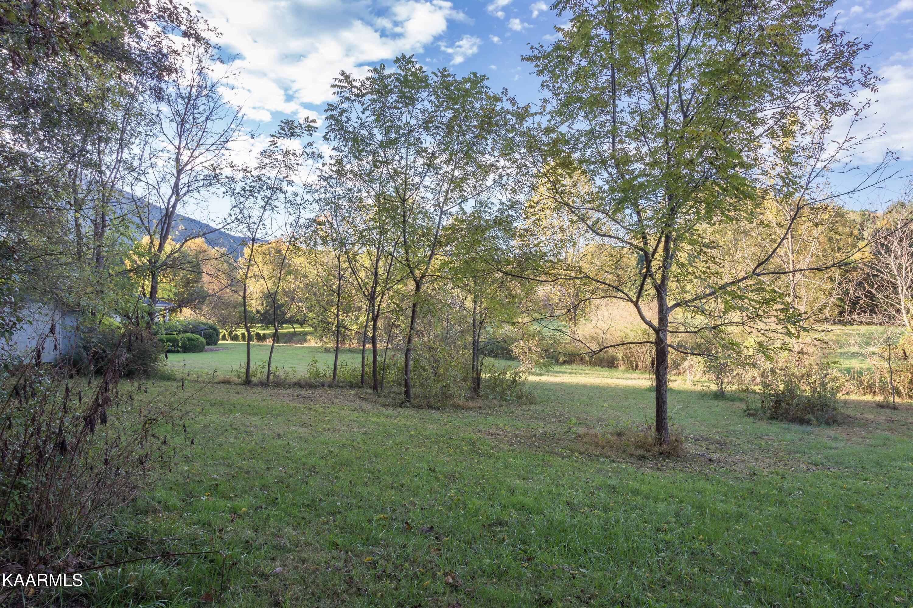 Lot 6 Spring View Drive Sevierville, TN 37862 - Photo 16 of 16 _MG_4631
