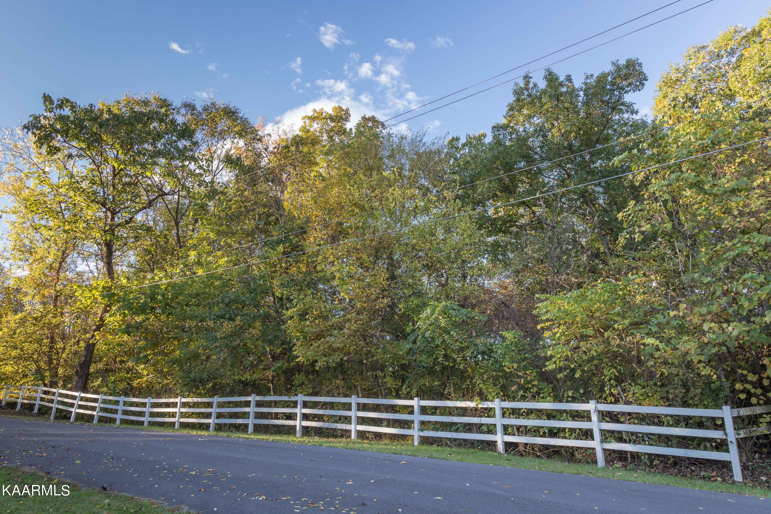 Lot 6 Spring View Drive Sevierville, TN 37862 - Photo 3 of 16 _MG_4617