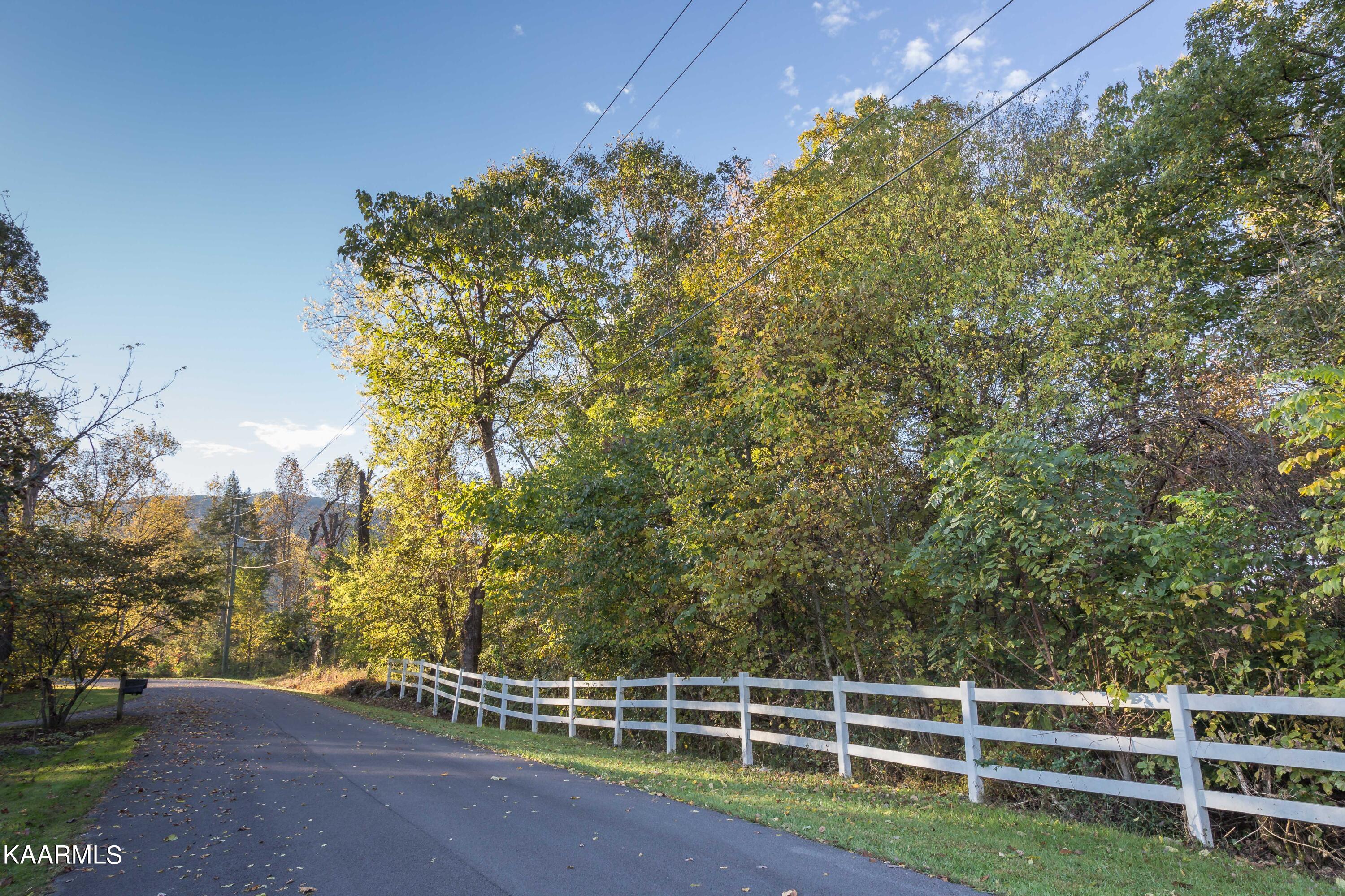 Lot 6 Spring View Drive Sevierville, TN 37862 - Photo 4 of 16 _MG_4618