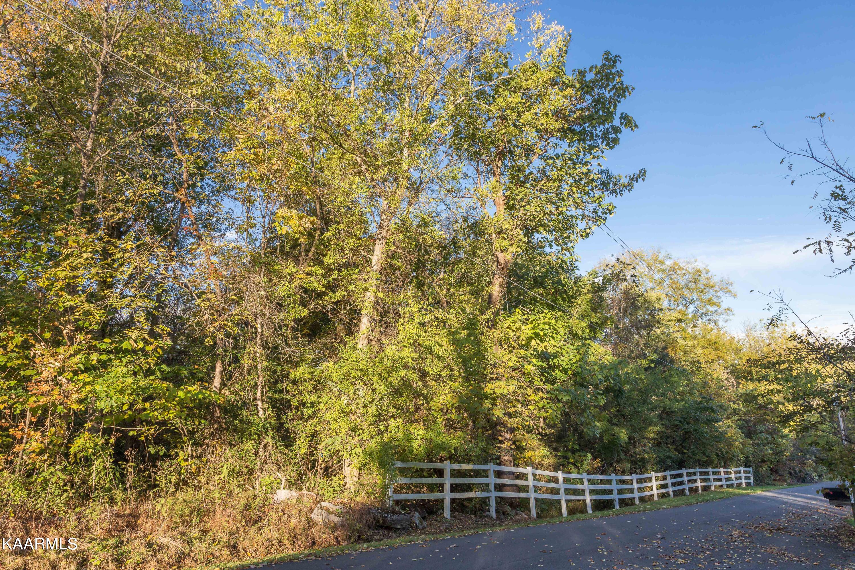 Lot 6 Spring View Drive Sevierville, TN 37862 - Photo 5 of 16 _MG_4619