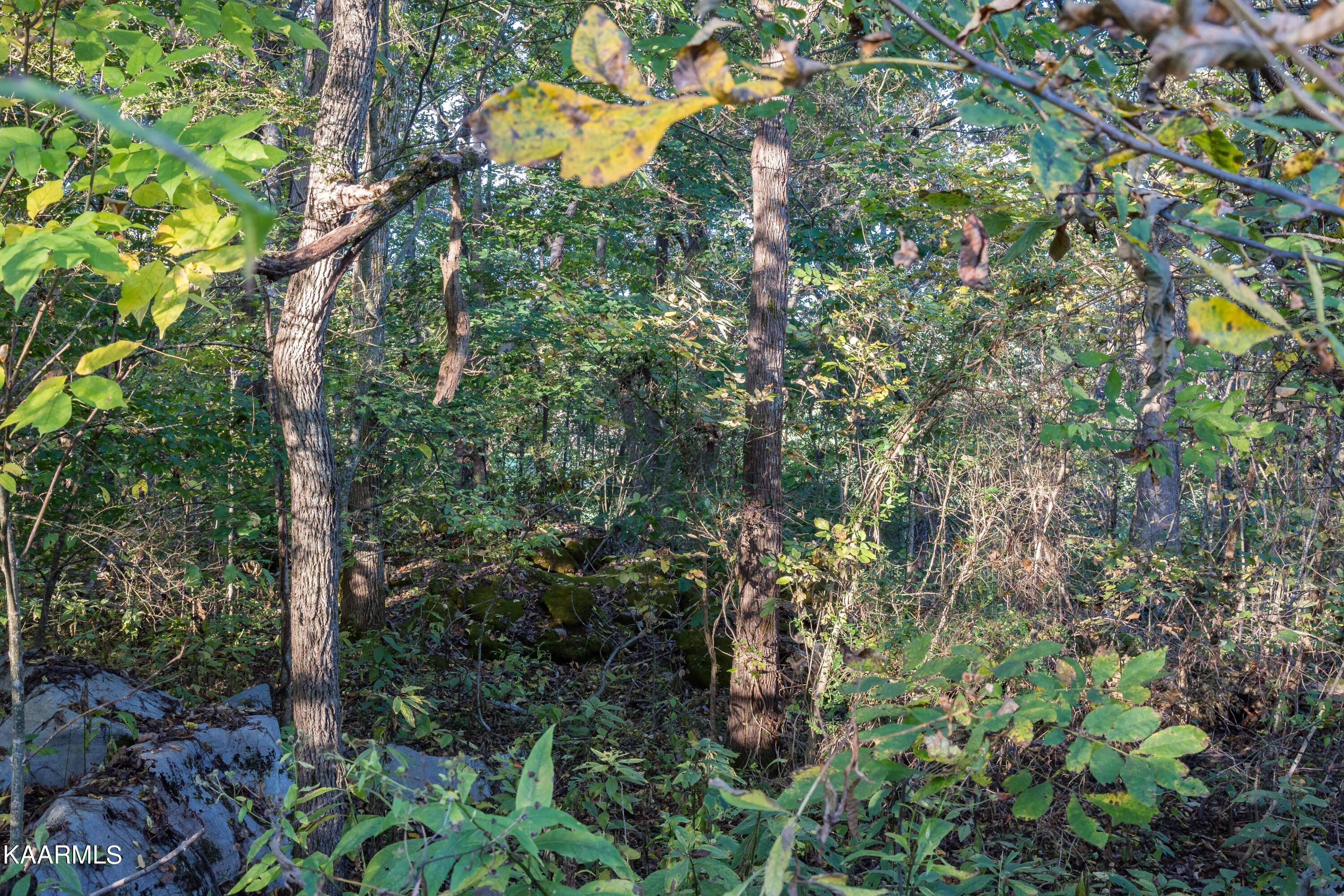 Lot 6 Spring View Drive Sevierville, TN 37862 - Photo 7 of 16 _MG_4621