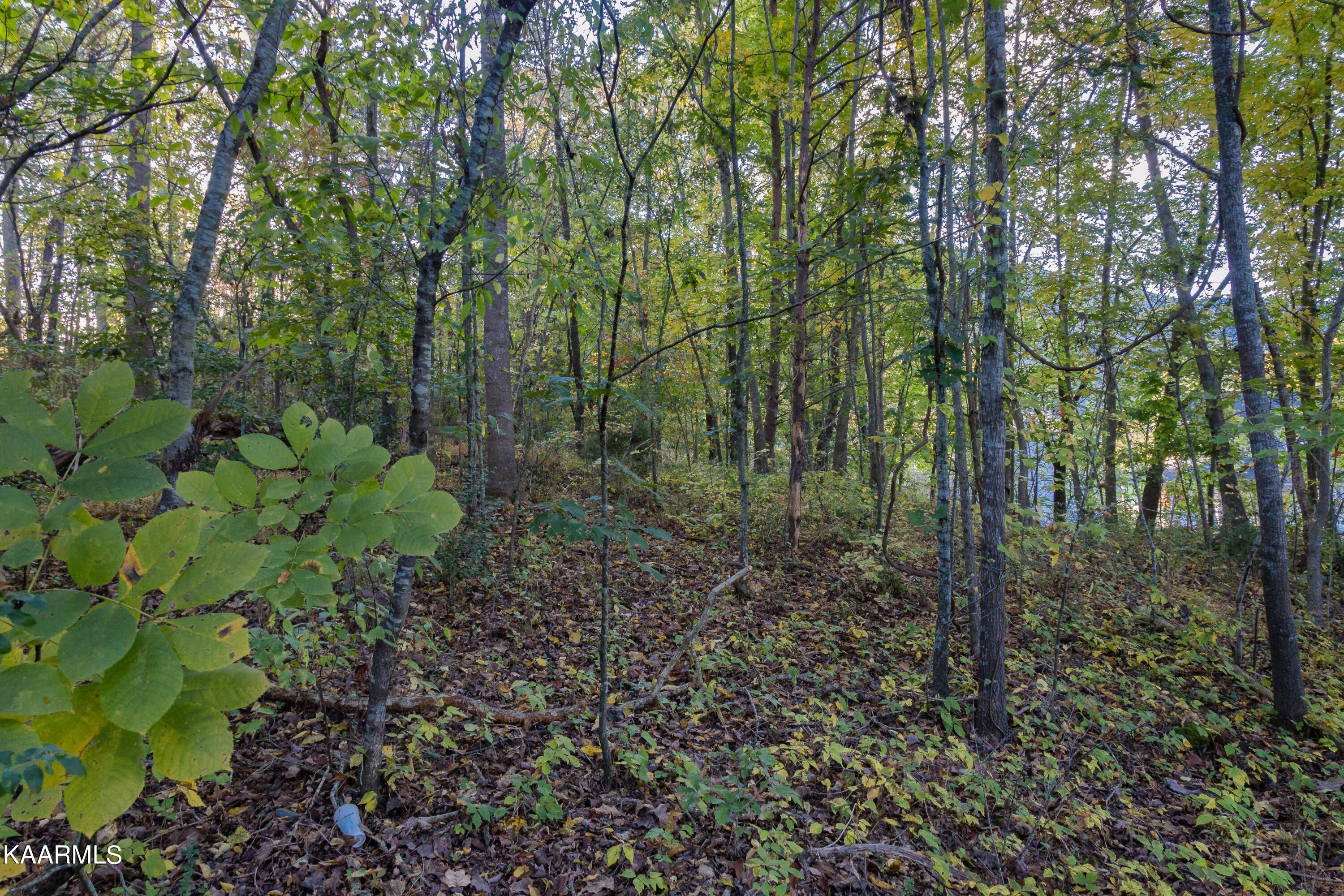Lot 6 Spring View Drive Sevierville, TN 37862 - Photo 9 of 16 _MG_4623