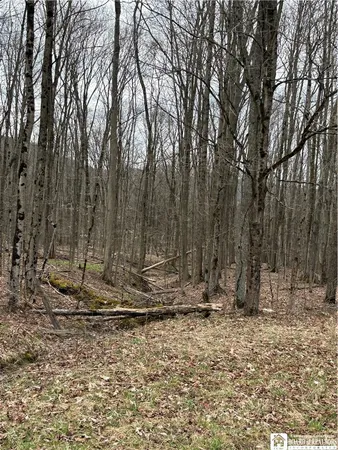 $175,000 | 2370 Highway 305, Clarksville, NY 14727