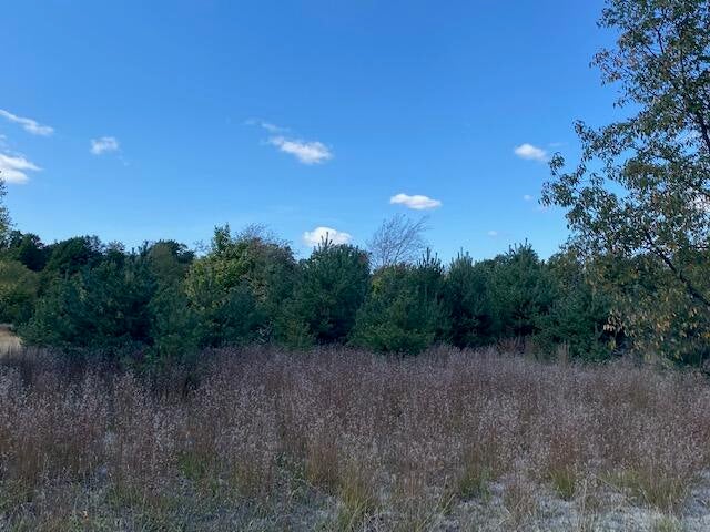 East Simpson Road Mancelona, MI 49659 - Photo 8 of 17 Gallery Image 8