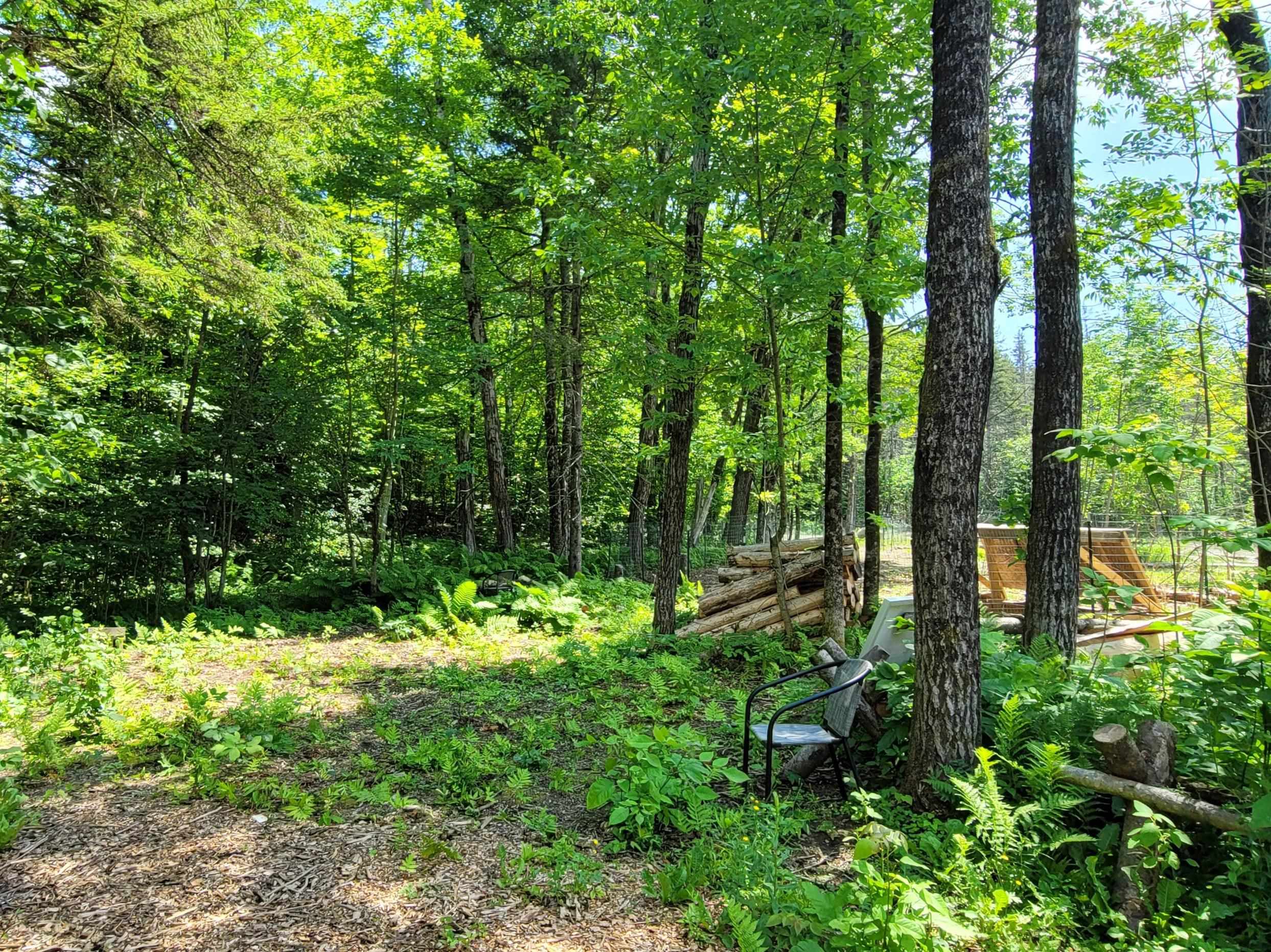 481 Keene Road Washington, VT 05675 - Photo 21 of 34