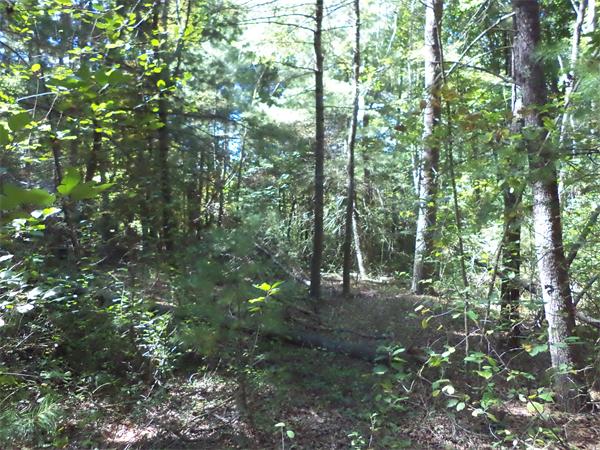Lot 2 Main Street Hanover, MA 02339 - Photo 2 of 4 Gallery Image 2