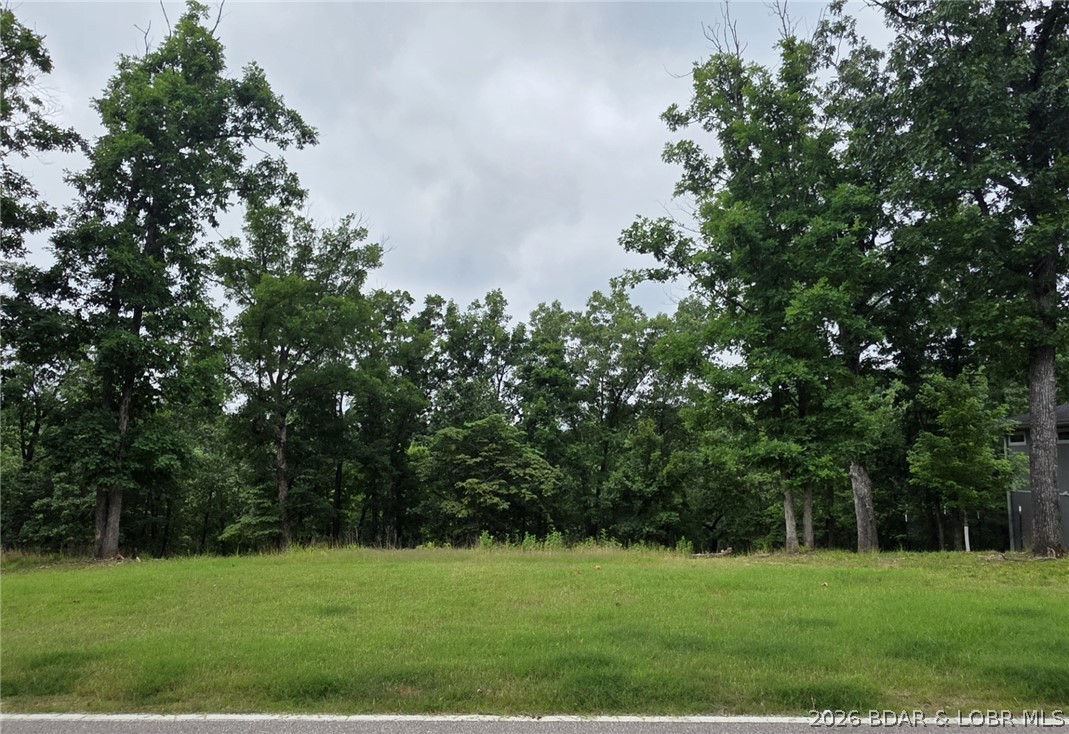 Lot 100 Terry Rd Lake Lake Ozark, MO 65049 - Photo 5 of 16