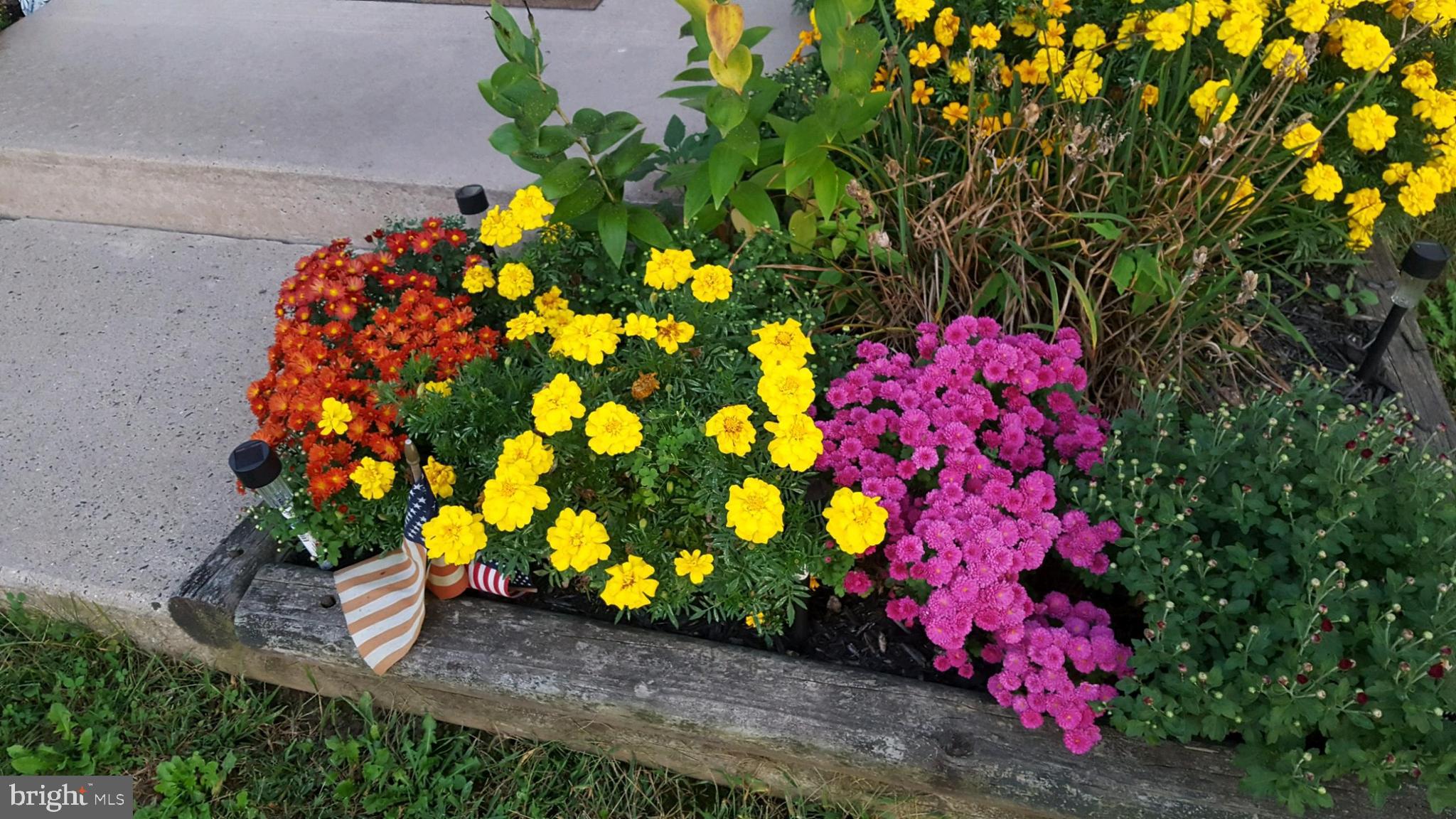 209 Cable Car Road Quakertown, PA 18951 - Photo 4 of 47 Curb side flowers