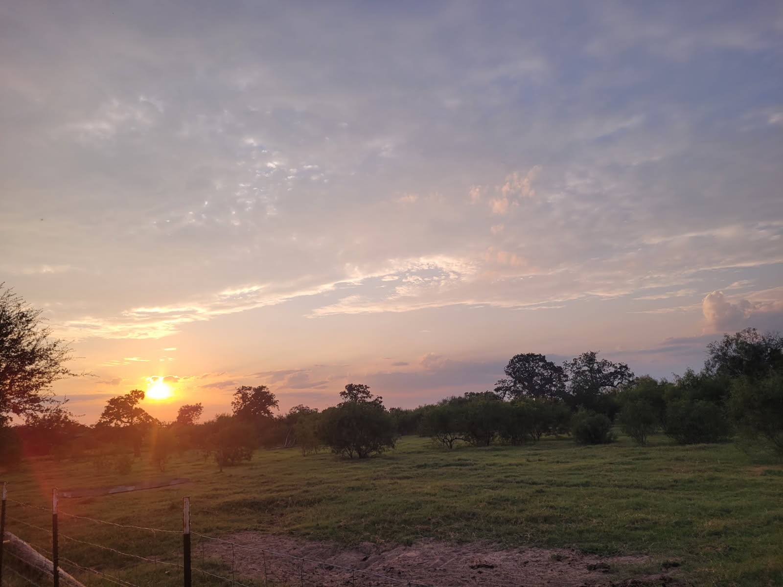 796 Shelly Road Goliad, TX 77963 - Photo 2 of 37 Gallery Image 2