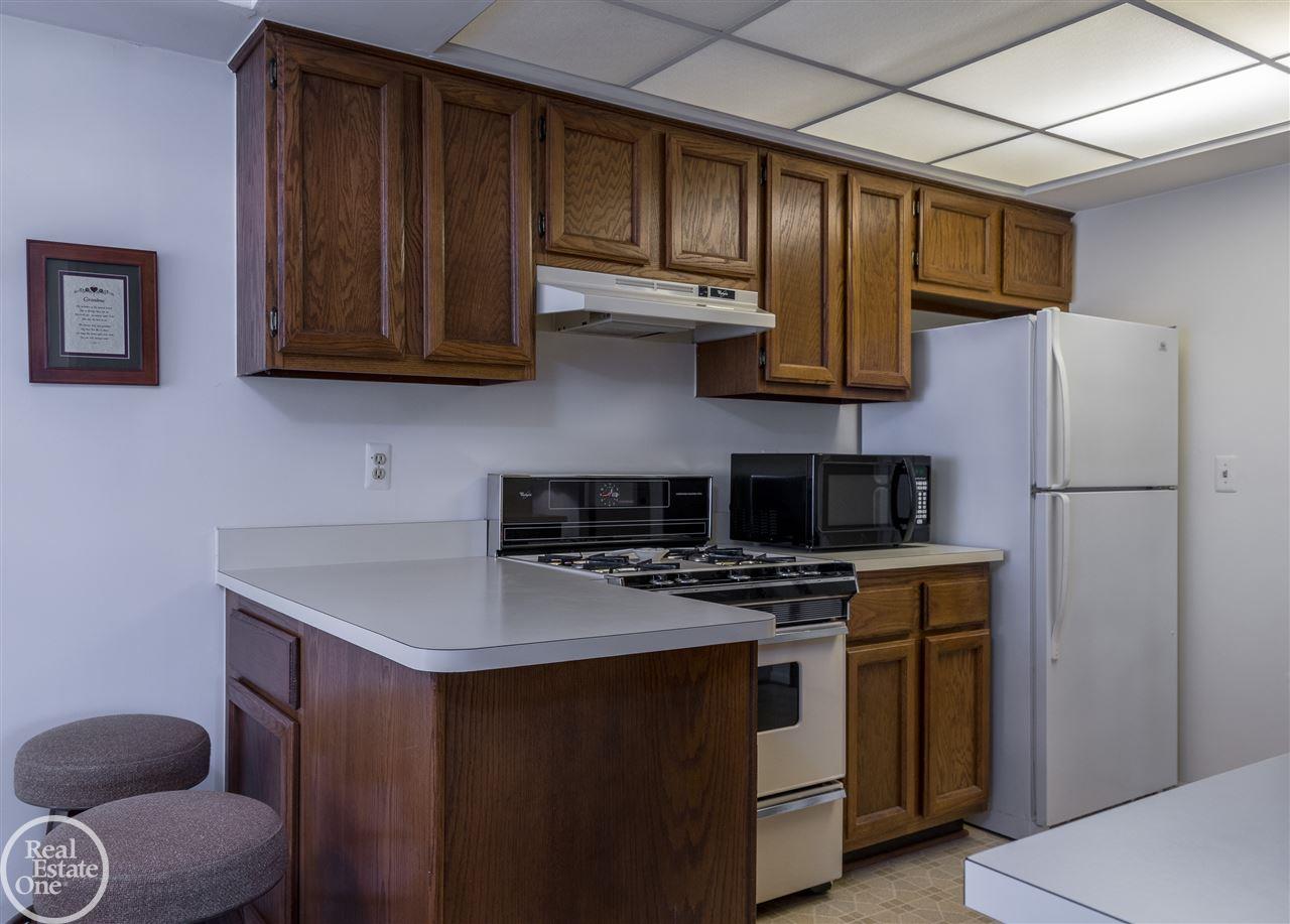 401 Meadow Bridge Drive Rochester Hills, MI 48307 - Photo 10 of 18