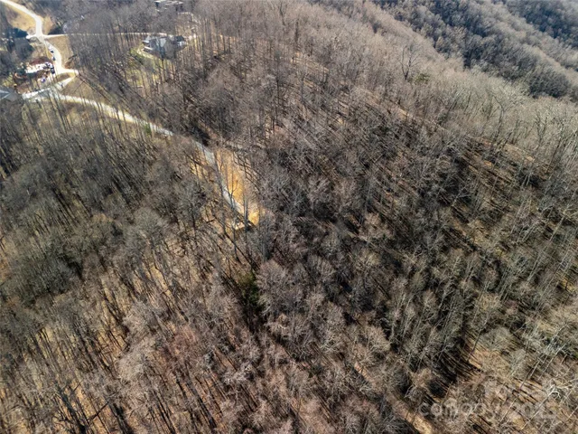 a view of a city with lush green forest