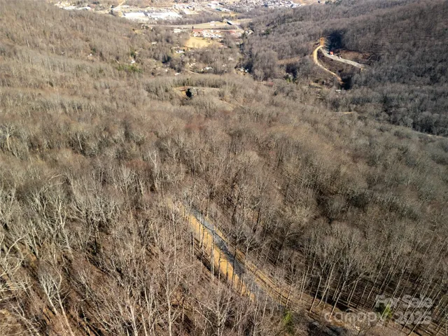 a view of a dry yard