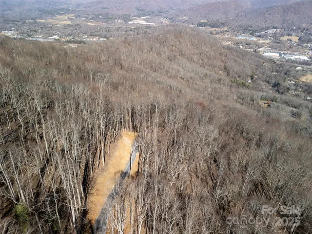 a view of a dry yard