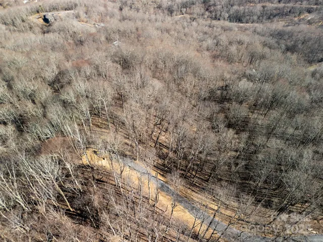 a view of a dry yard