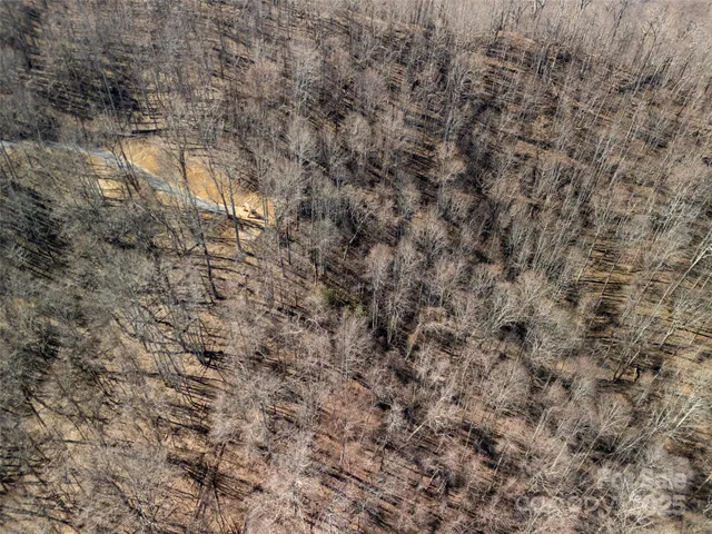 a view of backyard with trees