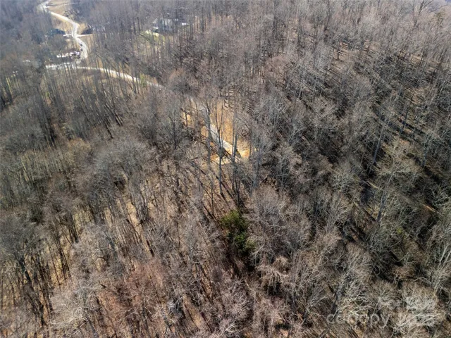 a backyard of a house with large trees