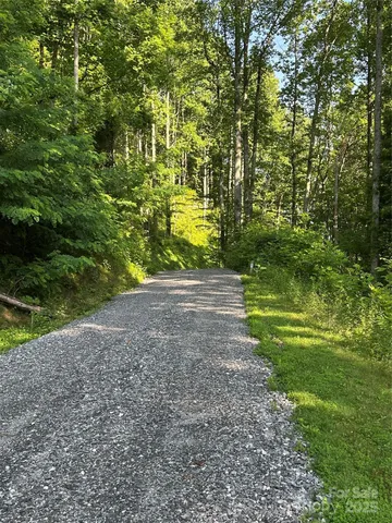 a view of yard with green space
