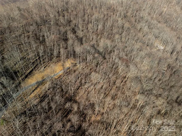 a view of a dry yard