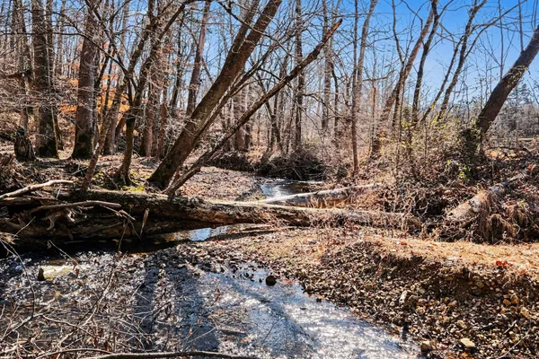 a view of a backyard of the house